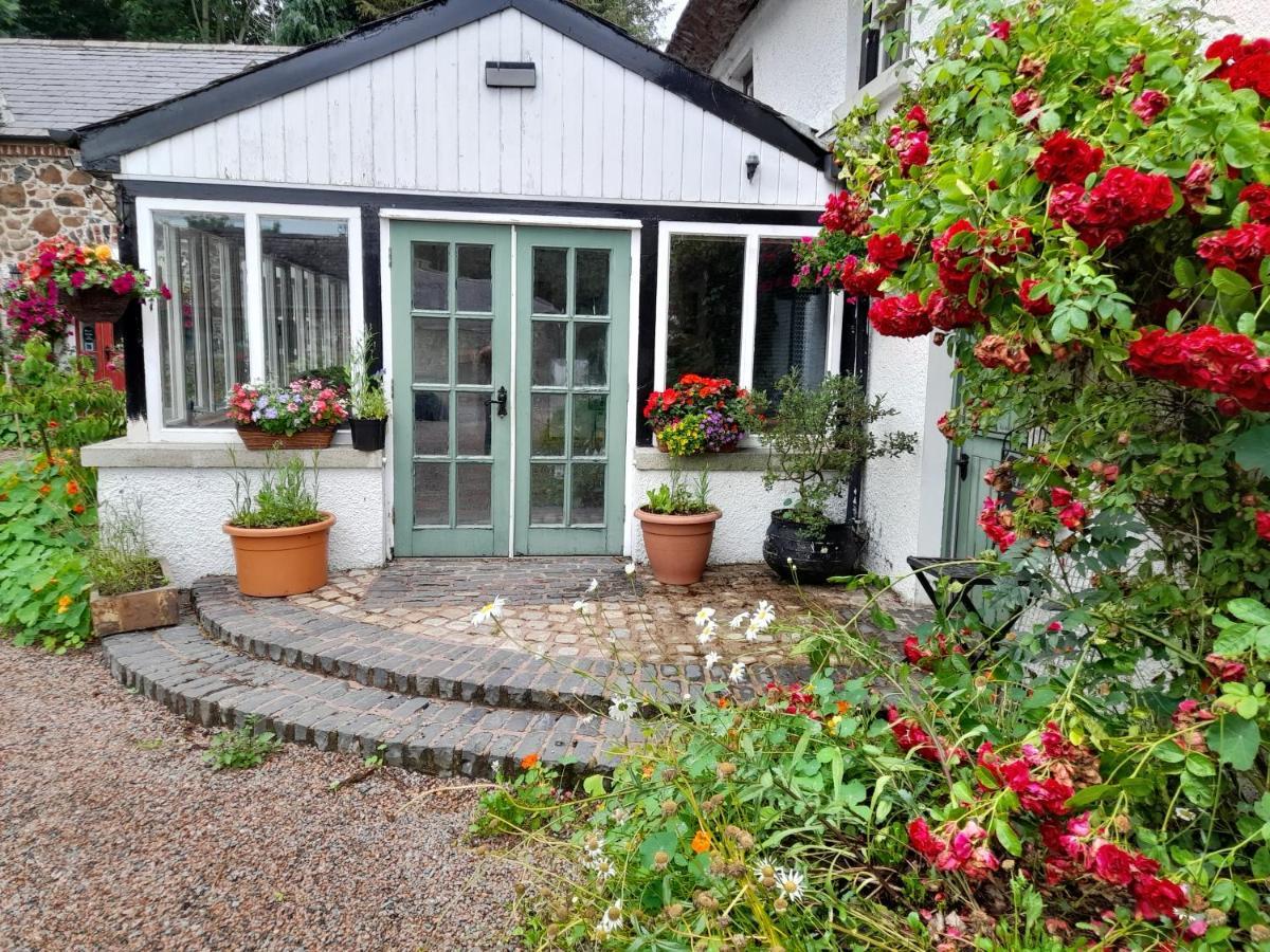 Berwickhall Apartment Craigavon Zewnętrze zdjęcie